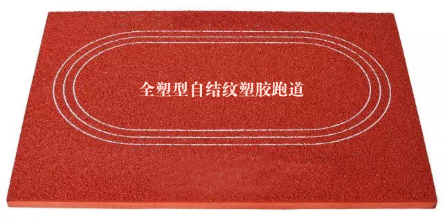 1586157930353864.jpg 20200315123140_7724.jpg