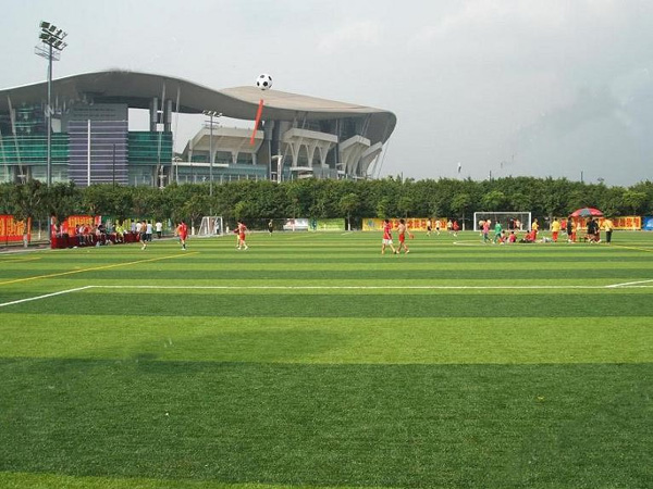 十一人制足球場(chǎng)